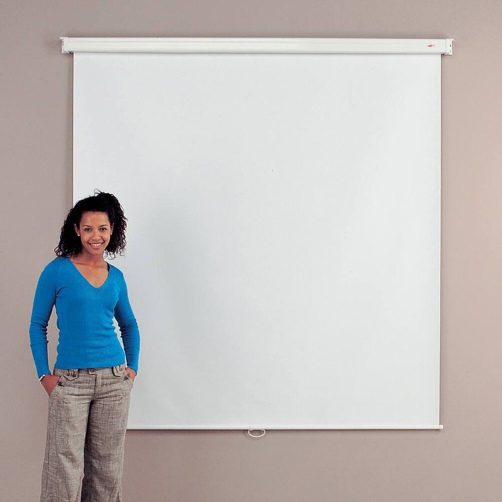 Budget Wall/Ceiling Mounted Screen 180X180cm